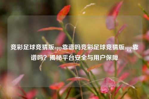 竞彩足球竞猜版app靠谱吗竞彩足球竞猜版app靠谱吗？揭秘平台安全与用户保障