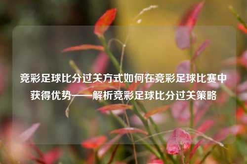 竞彩足球比分过关方式如何在竞彩足球比赛中获得优势——解析竞彩足球比分过关策略