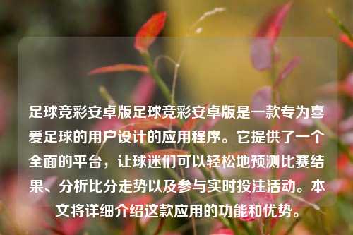 足球竞彩安卓版足球竞彩安卓版是一款专为喜爱足球的用户设计的应用程序。它提供了一个全面的平台，让球迷们可以轻松地预测比赛结果、分析比分走势以及参与实时投注活动。本文将详细介绍这款应用的功能和优势。