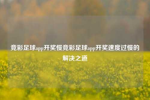 竞彩足球app开奖慢竞彩足球app开奖速度过慢的解决之道