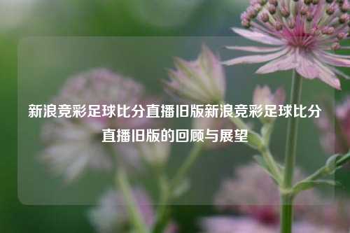 新浪竞彩足球比分直播旧版新浪竞彩足球比分直播旧版的回顾与展望