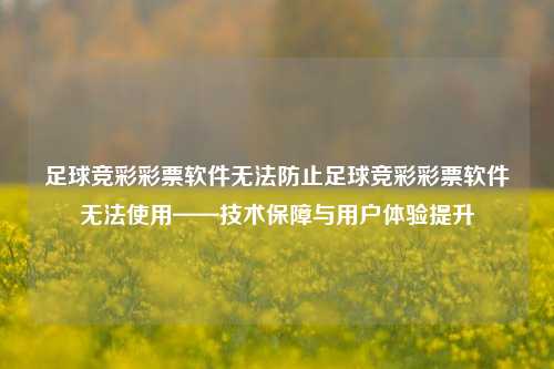 足球竞彩彩票软件无法防止足球竞彩彩票软件无法使用——技术保障与用户体验提升