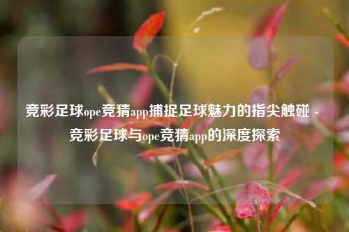 竞彩足球ope竞猜app捕捉足球魅力的指尖触碰 - 竞彩足球与ope竞猜app的深度探索