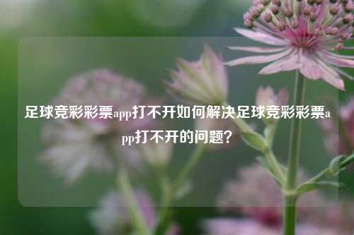 足球竞彩彩票app打不开如何解决足球竞彩彩票app打不开的问题？