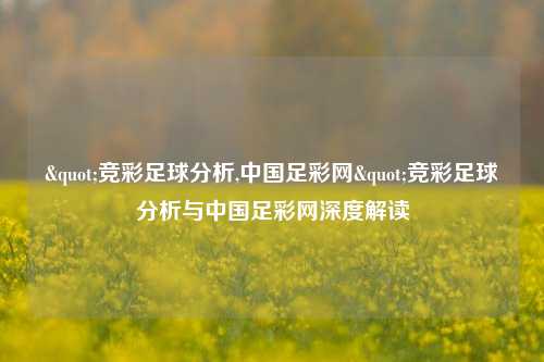 "竞彩足球分析,中国足彩网"竞彩足球分析与中国足彩网深度解读