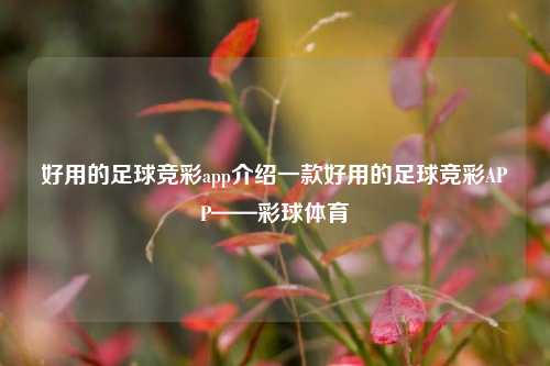 好用的足球竞彩app介绍一款好用的足球竞彩APP——彩球体育