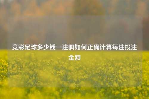 竞彩足球多少钱一注啊如何正确计算每注投注金额