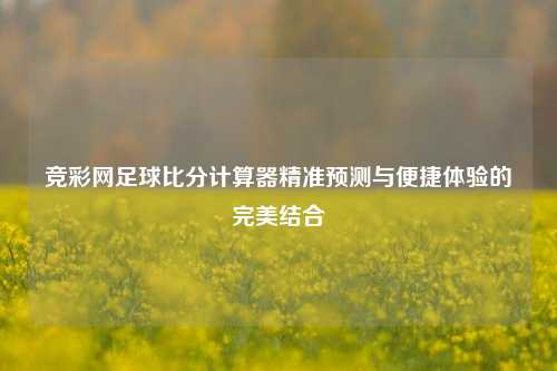竞彩网足球比分计算器精准预测与便捷体验的完美结合