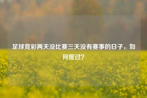 足球竞彩两天没比赛三天没有赛事的日子，如何度过？