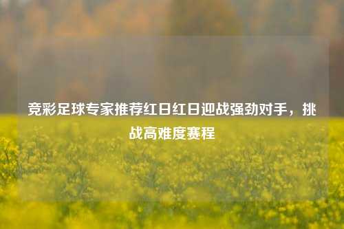 竞彩足球专家推荐红日红日迎战强劲对手，挑战高难度赛程