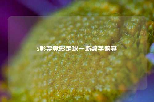 5彩票竞彩足球一场数字盛宴