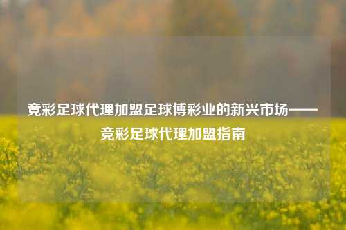 竞彩足球代理加盟足球博彩业的新兴市场——竞彩足球代理加盟指南
