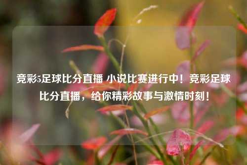 竞彩5足球比分直播 小说比赛进行中！竞彩足球比分直播，给你精彩故事与激情时刻！