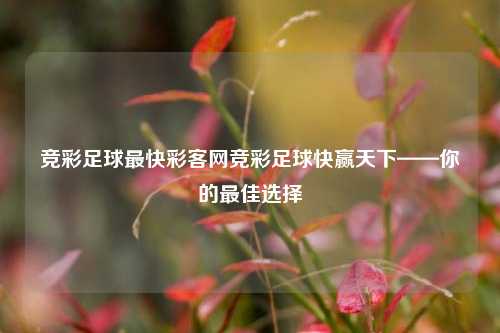 竞彩足球最快彩客网竞彩足球快赢天下——你的最佳选择