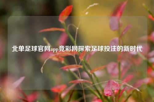 北单足球官网app竞彩网探索足球投注的新时代