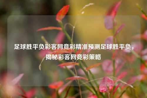 足球胜平负彩客网竞彩精准预测足球胜平负，揭秘彩客网竞彩策略