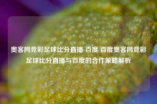 奥客网竞彩足球比分直播 百度 百度奥客网竞彩足球比分直播与百度的合作策略解析