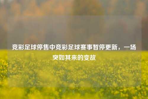 竞彩足球停售中竞彩足球赛事暂停更新，一场突如其来的变故