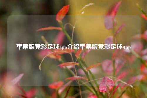 苹果版竞彩足球app介绍苹果版竞彩足球App
