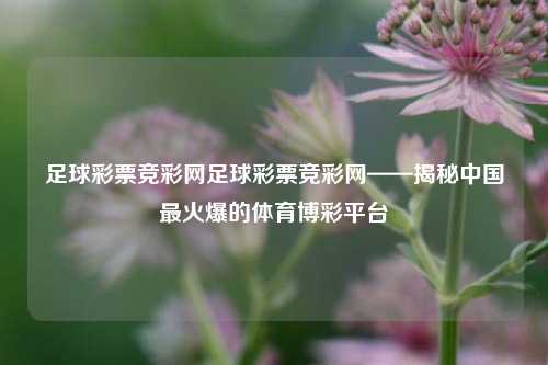 足球彩票竞彩网足球彩票竞彩网——揭秘中国最火爆的体育博彩平台