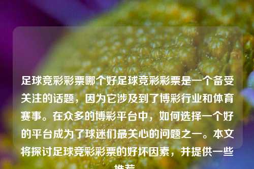 足球竞彩彩票哪个好足球竞彩彩票是一个备受关注的话题，因为它涉及到了博彩行业和体育赛事。在众多的博彩平台中，如何选择一个好的平台成为了球迷们最关心的问题之一。本文将探讨足球竞彩彩票的好坏因素，并提供一些推荐。
