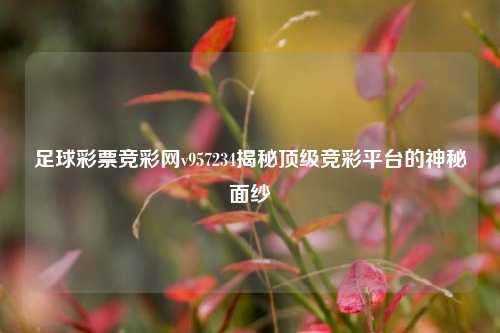 足球彩票竞彩网v957234揭秘顶级竞彩平台的神秘面纱