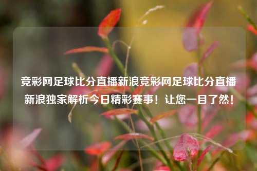 竞彩网足球比分直播新浪竞彩网足球比分直播新浪独家解析今日精彩赛事！让您一目了然！