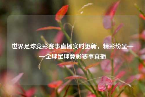 世界足球竞彩赛事直播实时更新，精彩纷呈——全球足球竞彩赛事直播