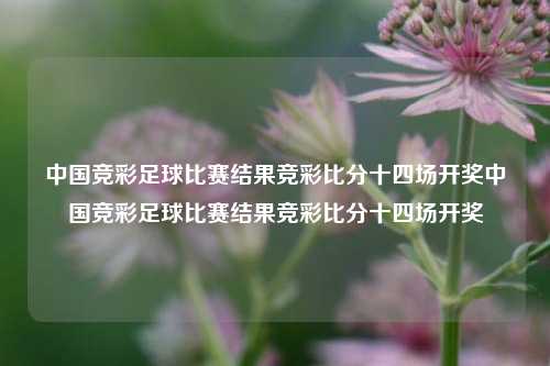 中国竞彩足球比赛结果竞彩比分十四场开奖中国竞彩足球比赛结果竞彩比分十四场开奖