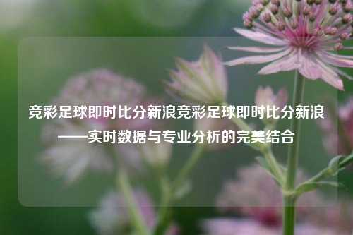 竞彩足球即时比分新浪竞彩足球即时比分新浪——实时数据与专业分析的完美结合