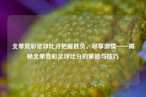 北单竞彩足球比分把握胜负，尽享激情——揭秘北单竞彩足球比分的策略与技巧