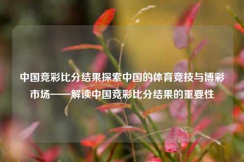 中国竞彩比分结果探索中国的体育竞技与博彩市场——解读中国竞彩比分结果的重要性