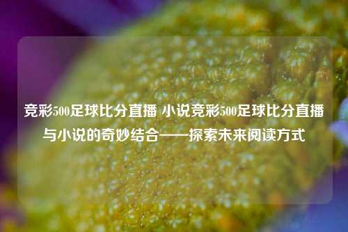 竞彩500足球比分直播 小说竞彩500足球比分直播与小说的奇妙结合——探索未来阅读方式