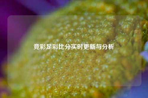 竞彩足彩比分实时更新与分析