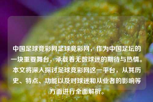 中国足球竞彩网足球竞彩网，作为中国足坛的一块重要舞台，承载着无数球迷的期待与热情。本文将深入探讨足球竞彩网这一平台，从其历史、特点、功能以及对球迷和从业者的影响等方面进行全面解析。