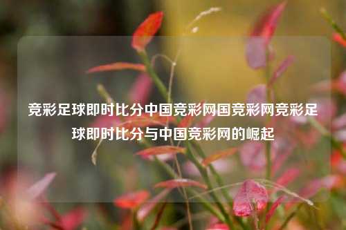竞彩足球即时比分中国竞彩网国竞彩网竞彩足球即时比分与中国竞彩网的崛起