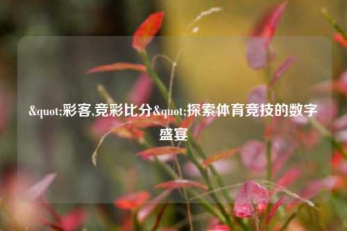 "彩客,竞彩比分"探索体育竞技的数字盛宴