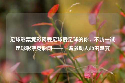 足球彩票竞彩网爱足球爱足球的你，不妨一试足球彩票竞彩网——一场激动人心的盛宴