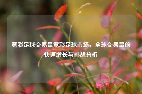 竞彩足球交易量竞彩足球市场，全球交易量的快速增长与挑战分析