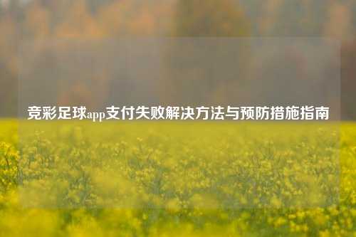竞彩足球app支付失败解决方法与预防措施指南