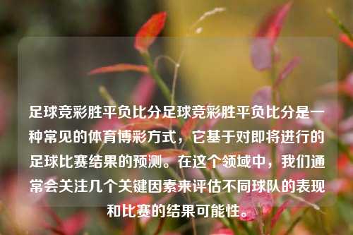 足球竞彩胜平负比分足球竞彩胜平负比分是一种常见的体育博彩方式，它基于对即将进行的足球比赛结果的预测。在这个领域中，我们通常会关注几个关键因素来评估不同球队的表现和比赛的结果可能性。