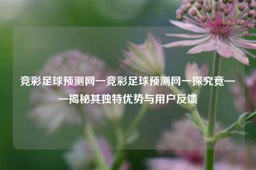 竞彩足球预测网一竞彩足球预测网一探究竟——揭秘其独特优势与用户反馈