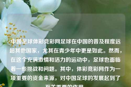 中国足球体彩竞彩网足球在中国的普及程度远超其他国家，尤其在青少年中更是如此。然而，在这个充满激情和活力的运动中，足球也面临着一些挑战和问题。其中，体彩竞彩网作为一项重要的资金来源，对中国足球的发展起到了至关重要的作用。