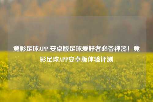 竞彩足球APP 安卓版足球爱好者必备神器！竞彩足球APP安卓版体验评测