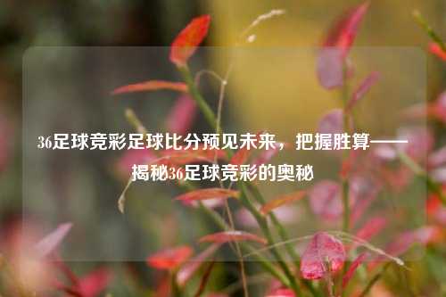 36足球竞彩足球比分预见未来，把握胜算——揭秘36足球竞彩的奥秘