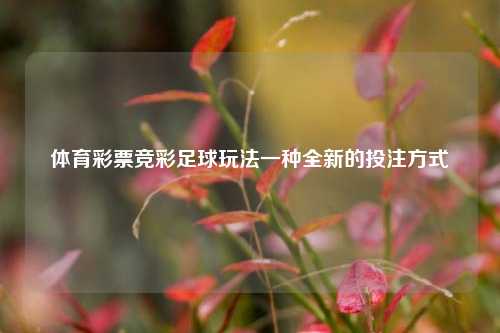 体育彩票竞彩足球玩法一种全新的投注方式