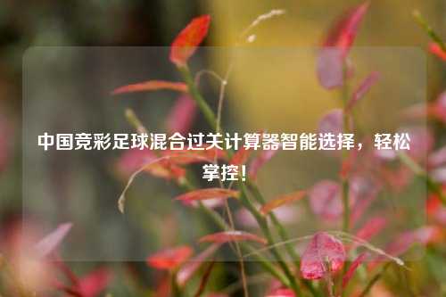 中国竞彩足球混合过关计算器智能选择，轻松掌控！