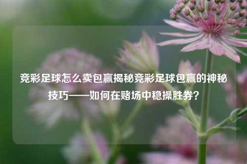 竞彩足球怎么卖包赢揭秘竞彩足球包赢的神秘技巧——如何在赌场中稳操胜券？