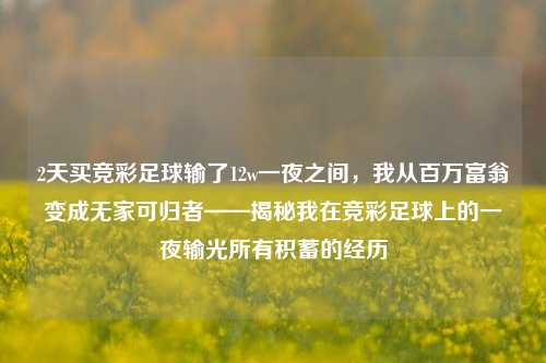 2天买竞彩足球输了12w一夜之间，我从百万富翁变成无家可归者——揭秘我在竞彩足球上的一夜输光所有积蓄的经历