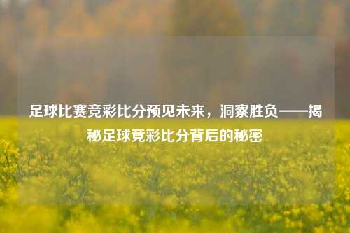 足球比赛竞彩比分预见未来，洞察胜负——揭秘足球竞彩比分背后的秘密